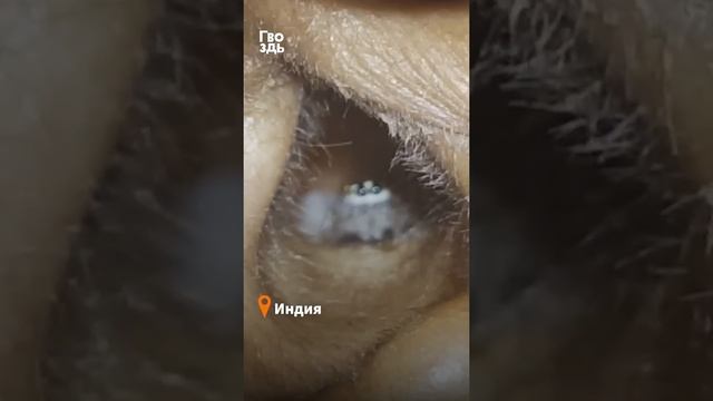 Летние укладки для модных каникул