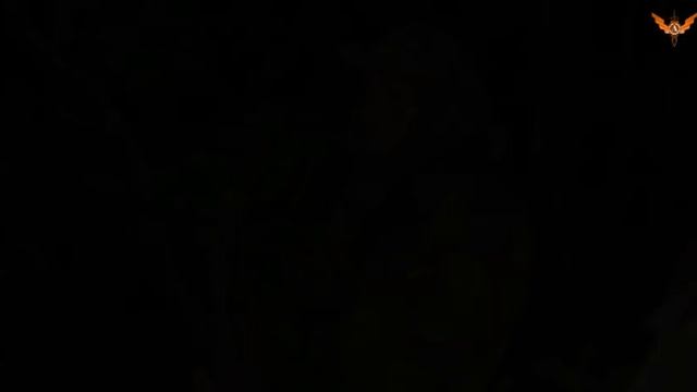 Памяти Романа Лашина и Игоря Панина посвящается... смотреть онлайн