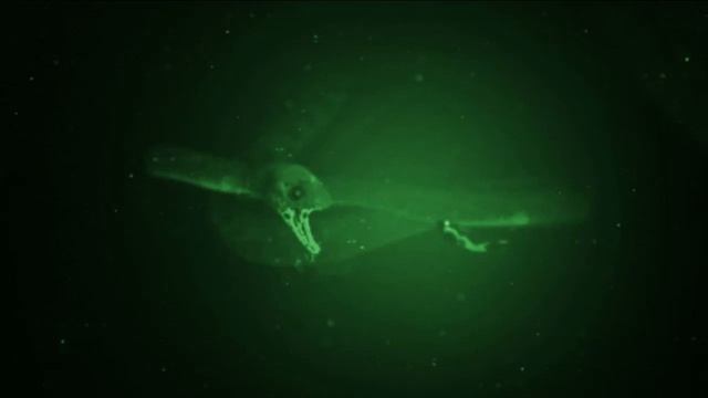 SCP-3000 Sings Build our Machine (Request) смотреть онлайн