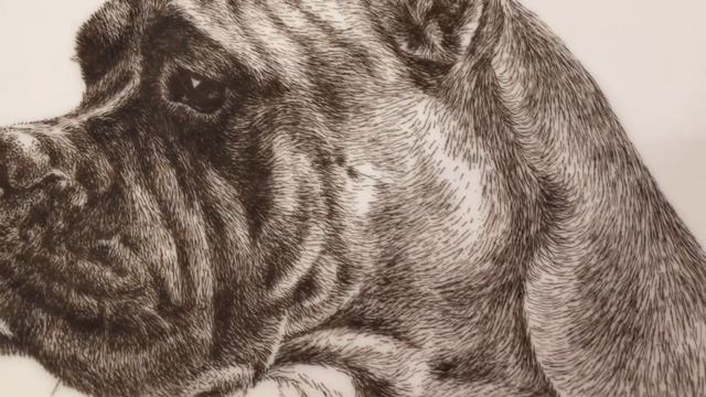 Тарелка декоративная/Фарфор/Германия/Символ года/Собака смотреть онлайн