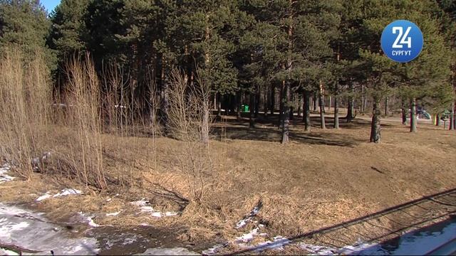 Продолжать благоустройство планируют и в парке «За Саймой» смотреть онлайн