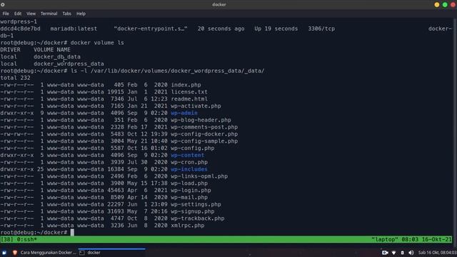 Docker Compose untuk Install WordPress смотреть онлайн