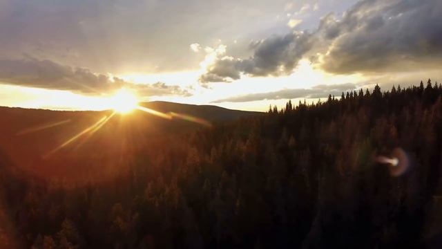This National Park Ranger Reveals The Truth About What's Happening To People Inside These Parks смотреть онлайн
