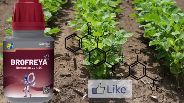 brofreya insecticide pi / brofreya/brofreya 20 sc insecticide/broflanilide/bro freya insecticide смотреть онлайн