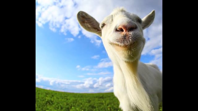 Goat Simulator 2014 Music/Song смотреть онлайн