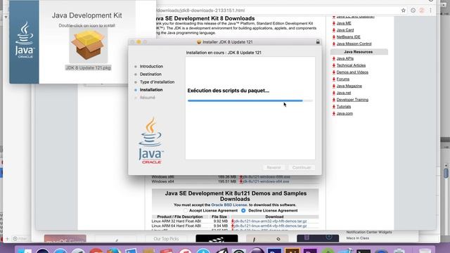 how to install Java SE Development Kit 8 on Mac смотреть онлайн