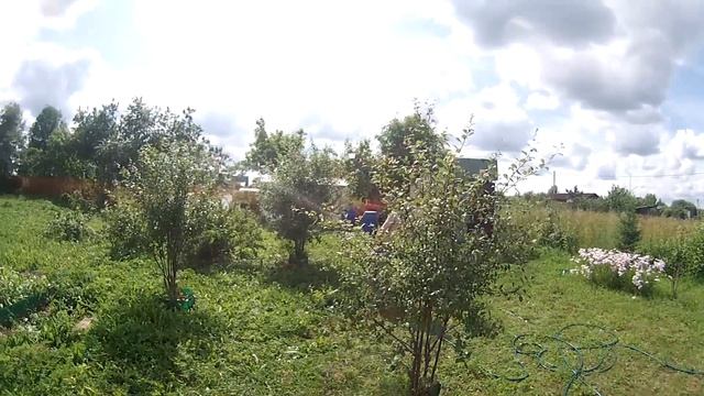 Сумасшедшая дача: Молот тора (Parts 2) смотреть онлайн