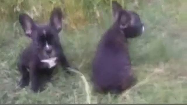 video 2013 06 15 18 57 13 converted смотреть онлайн