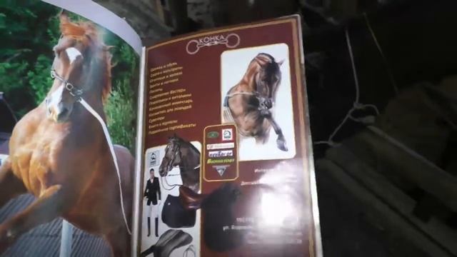 Воспитание молодых лошадей. Книга с упрожнениями для лошади смотреть онлайн