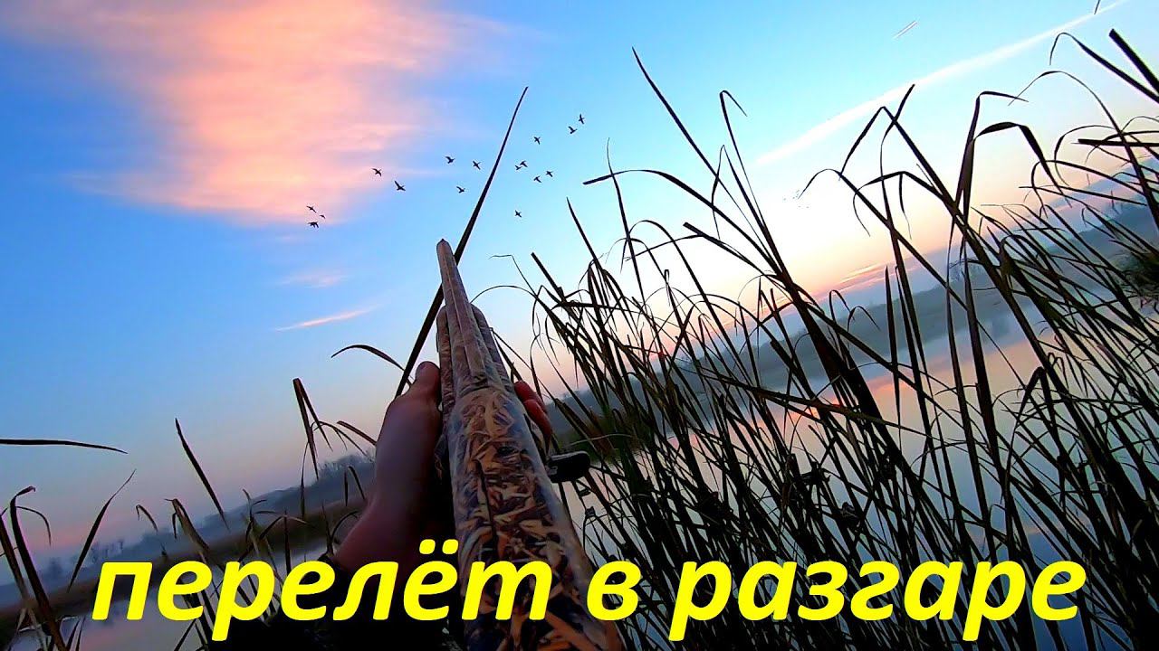 СУПЕР ОХОТА в НЕ УТИНУЮ ПОГОДУ!!! Охота на утку на Волге. Октябрьский селезень / MAX HUNTER смотреть онлайн