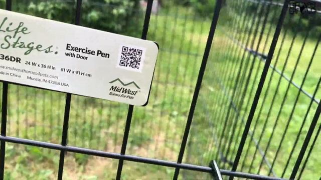 Обзор нового вольера для собак маленьких пород и щенков (клетка MidWest) / очень практично! смотреть онлайн