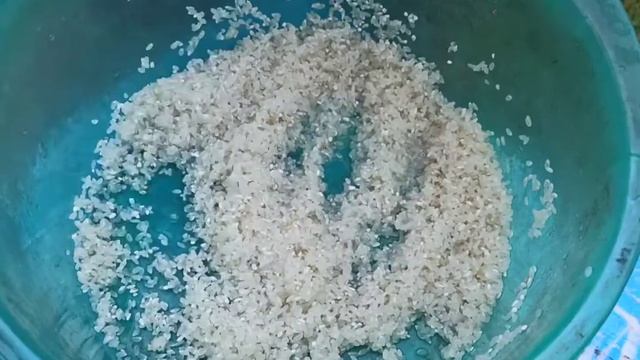 Готовим плов смотреть онлайн