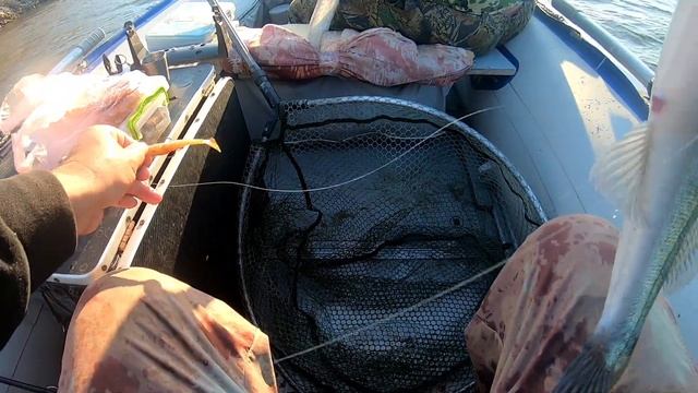 Понижение температуры. смотреть онлайн