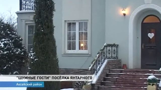 В поселке Янтарный появились «шумные гости» смотреть онлайн