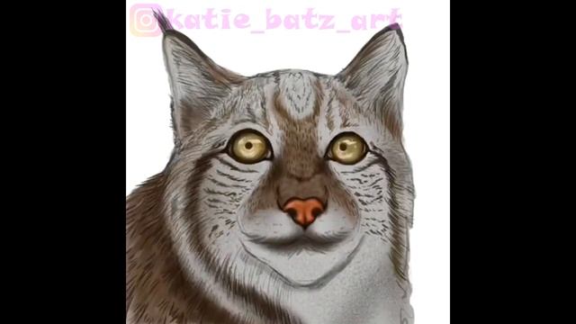 Procreate 5 анимация - Рысь смотреть онлайн