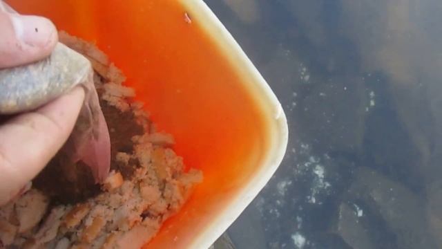 Как сделать прикормку из хлеба для ловли рыбы на пружины рыбалка В Запорожье смотреть онлайн