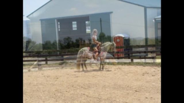 APPALOOSA PONY MARE, STANDS 12 3 HANDS TALL, GENTLE, NICE MOVER & SMOOTH смотреть онлайн