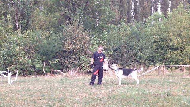 Вео Виват Ашер Элисон Пробный Пуск смотреть онлайн