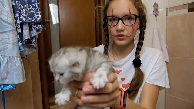 Котятам 3 недели