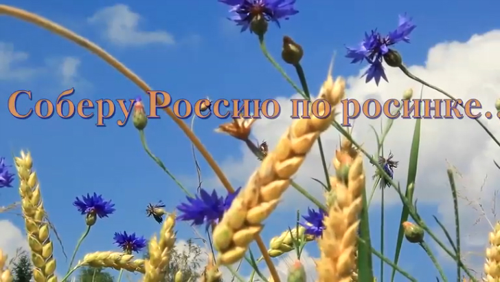 СОБЕРУ РОССИЮ ПО РОСИНКЕ - Надежда КРЫГИНА, сл.Дм.ДАРИН