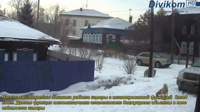 HD SDI камера функция Smart zoom смотреть онлайн