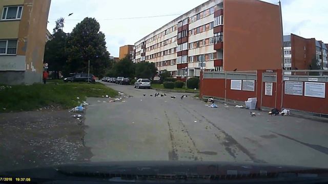 Мусор на ул Виру 17а Силламяэ смотреть онлайн