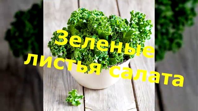 ОСТОРОЖНО — Альцгеймер! ЭТИ продукты могут сохранят МОЛОДОСТЬ МОЗГА смотреть онлайн