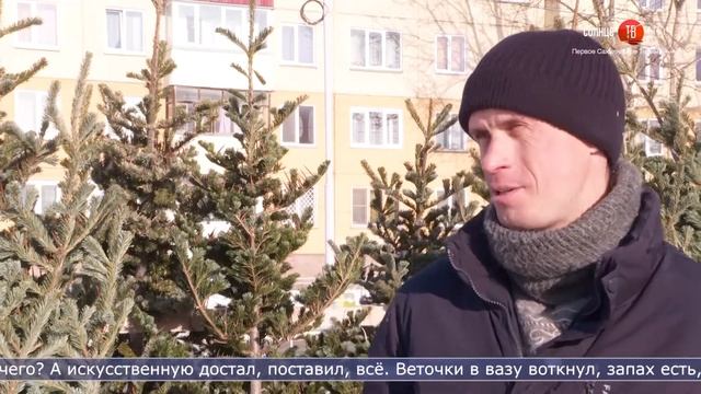 29.12.2021 Сколько стоят ёлки в Южно-Сахалинске? смотреть онлайн