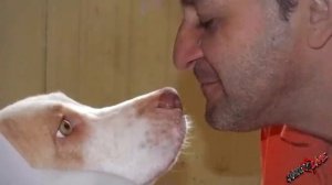 Мужчина плакал, у умирающего пса на его руках остановилось дыхание!