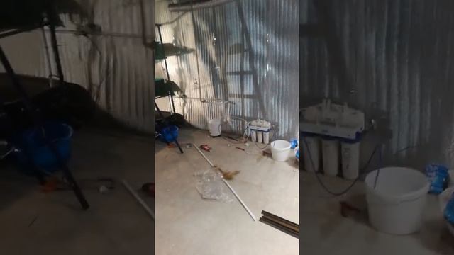 Обратный осмос для инкубатора