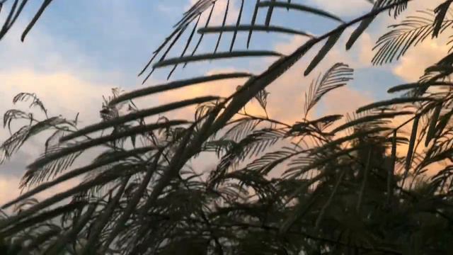 Ленкорань 2018 смотреть онлайн