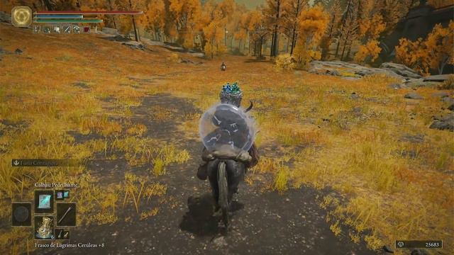 ELDEN RING PURO MAGO #31 DERROTANDO RADAHN E EXPLORANDO PLATO ALTUS смотреть онлайн