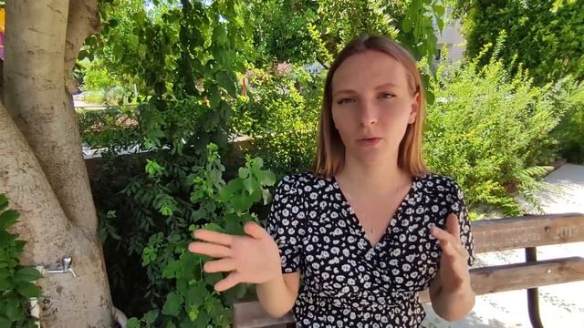 Турция 2022. Обязательно посмотрите до отдыха в Турции 2022. Турция ( Анталия, Кемер, Сиде, Алания) смотреть онлайн