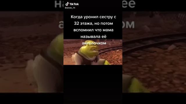 Мемы про Шрека смотреть онлайн