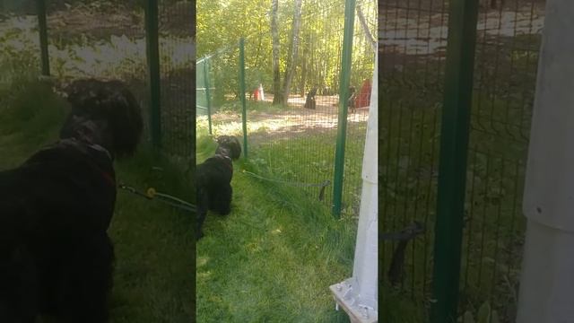 Морально поддержать завсегда пожалуйста! смотреть онлайн