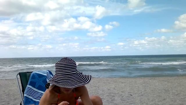 Экзотическая рыба, выброшенная штормом на черепашьем пляже, Siesta Key смотреть онлайн