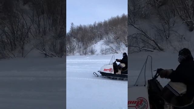 Ненцы уже давно пересели с оленей на снегоходы