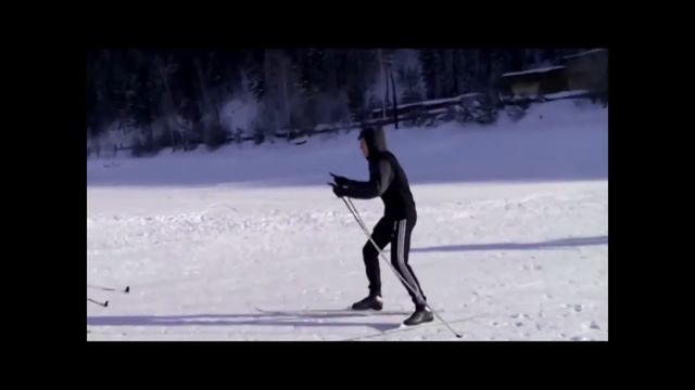 Техникум территория ЗОЖ смотреть онлайн