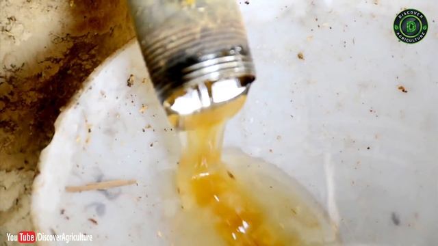 18 Most Likely AGRICULTURE Business That Make You RICH | Most Profitable Agriculture Farming