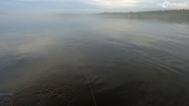 МАКСИМАЛЬНЫЙ УЛОВ \ КЛЁВАЯ ПРОВЕРКА ПРОДОЛЬНИКОВ \ 27.05.23 смотреть онлайн
