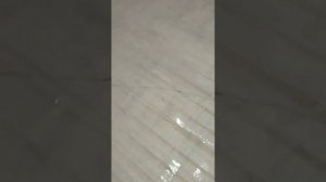 Карбоновый кабель под ламинат = теплый пол, - часть 1