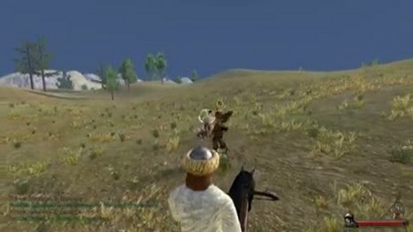 Обзор игры:  Mount and Blade: Warband