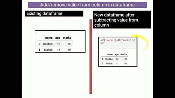 3 Dataframe - Creation and Operation (Add and remove columns) IP Class 12 New Syllabus (2020-21) -I