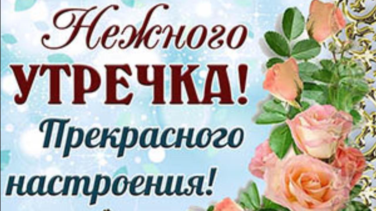 Доброе утро! Красивая музыкальная открытка с Добрым утром и Хорошим днем Видео пожелание от меня смотреть онлайн