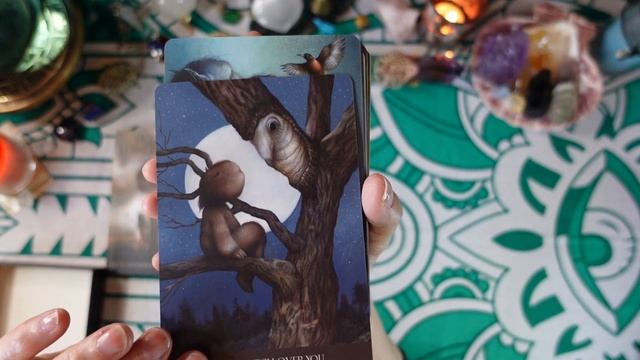 INTO THE LONELY WOODS ORACLE Deck Review - Blessings and Messages for Times of Solitude & Isolation смотреть онлайн