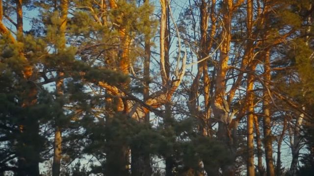 Участки в Заокском районе - КРЮКОВО - Ваша Дача смотреть онлайн