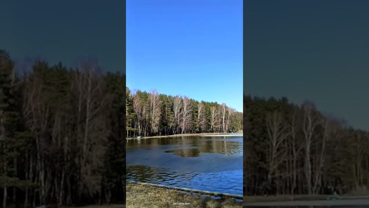 Полет чайки смотреть онлайн