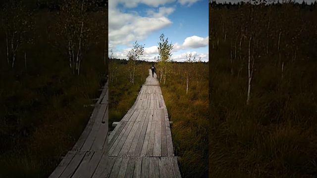 Острый репортаж из ландшафтного заповедника "Ельно" смотреть онлайн