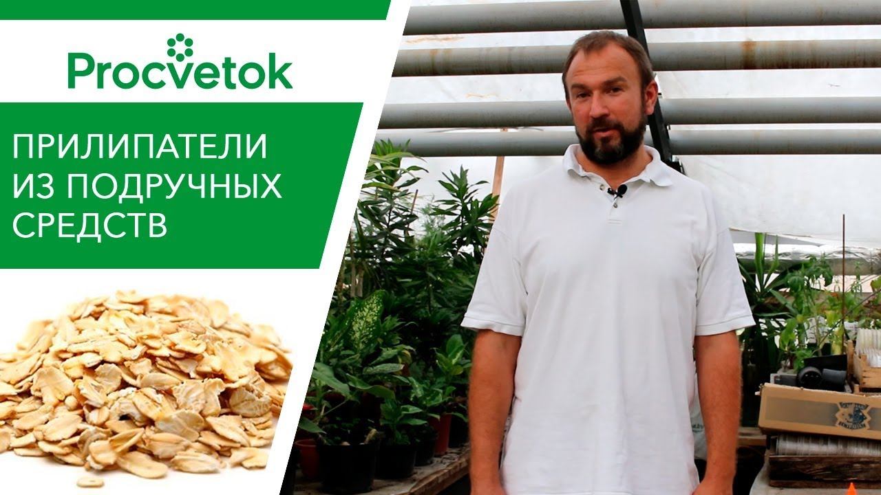 ТОП-8 народных ПРИЛИПАТЕЛЕЙ для внекорневой обработки растений. Обзор. смотреть онлайн