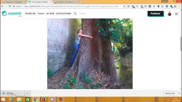 Cómo reducir tamaño o comprimir fotos sin perder calidad con TinyPNG смотреть онлайн